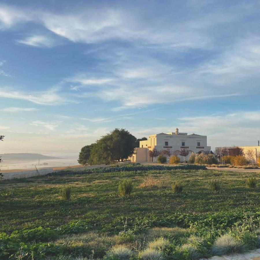 Masseria Fontana Di Vite Matera Exterior foto